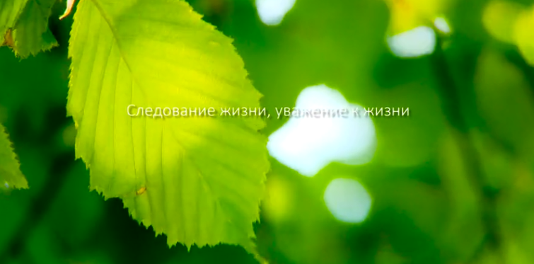 平博pinnacle集团形象片（русский）