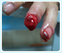 首页- 平博pinnacle888公司官网