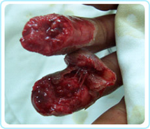 首页- 平博pinnacle888公司官网