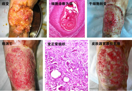 首页- 平博pinnacle888公司官网