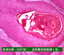 首页- 平博pinnacle888公司官网