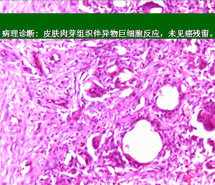 首页- 平博pinnacle888公司官网