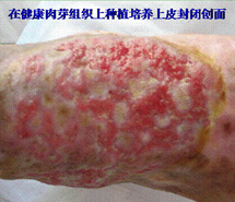 首页- 平博pinnacle888公司官网