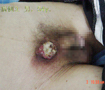 首页- 平博pinnacle888公司官网