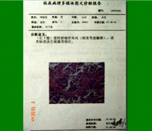 首页- 平博pinnacle888公司官网