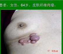 首页- 平博pinnacle888公司官网