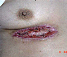 首页- 平博pinnacle888公司官网