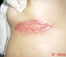 首页- 平博pinnacle888公司官网