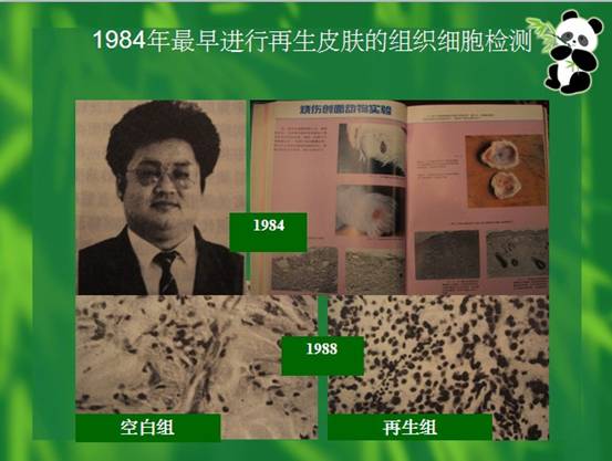 首页- 平博pinnacle888公司官网