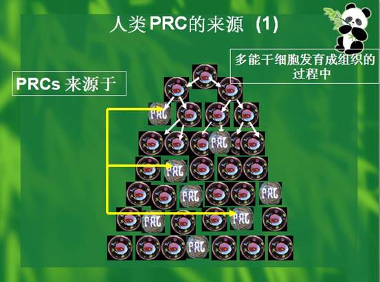 首页- 平博pinnacle888公司官网