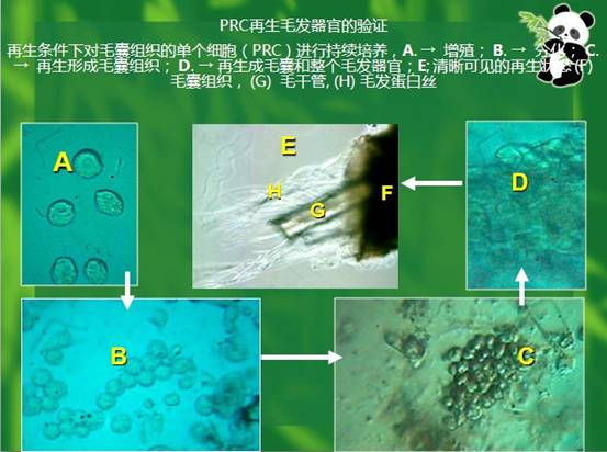 首页- 平博pinnacle888公司官网