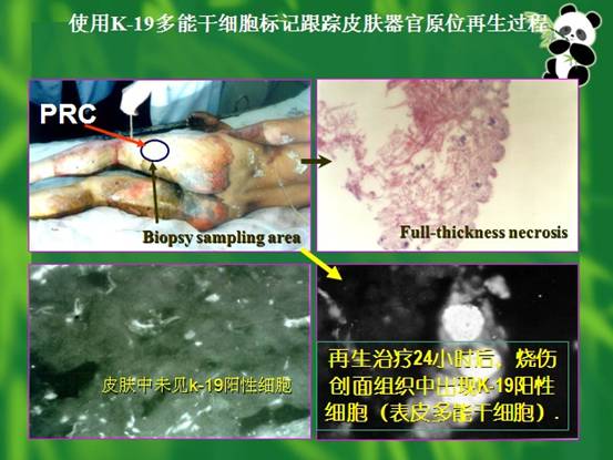 首页- 平博pinnacle888公司官网