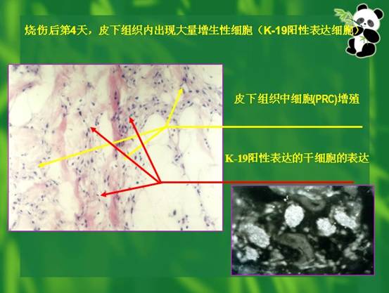 首页- 平博pinnacle888公司官网