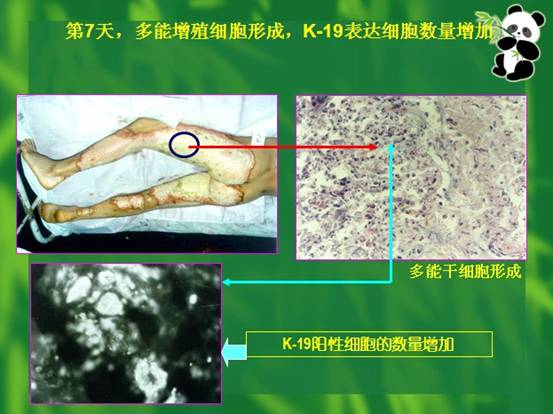 首页- 平博pinnacle888公司官网