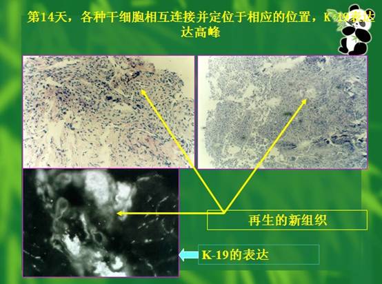 首页- 平博pinnacle888公司官网