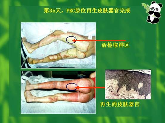 首页- 平博pinnacle888公司官网