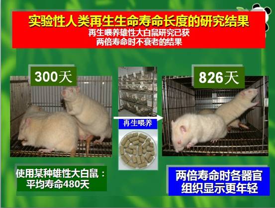 首页- 平博pinnacle888公司官网