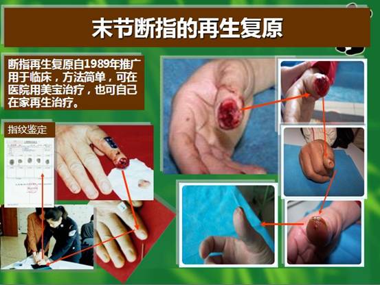 首页- 平博pinnacle888公司官网