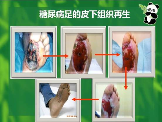 首页- 平博pinnacle888公司官网