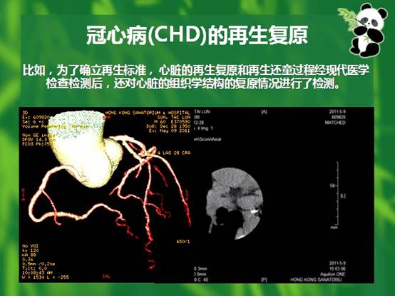 首页- 平博pinnacle888公司官网
