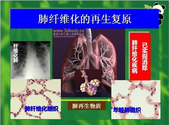 首页- 平博pinnacle888公司官网