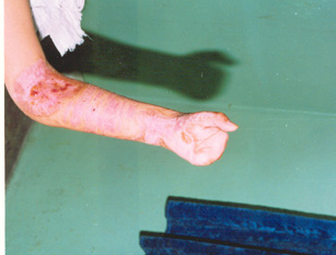 首页- 平博pinnacle888公司官网