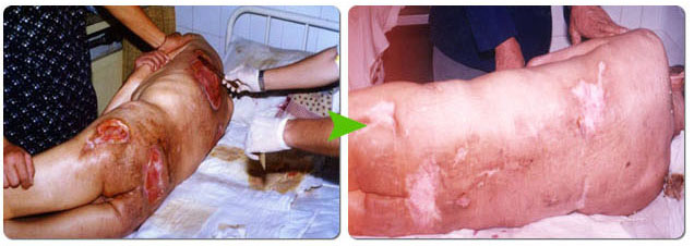 首页- 平博pinnacle888公司官网