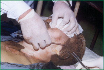 首页- 平博pinnacle888公司官网