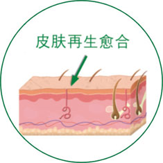 首页- 平博pinnacle888公司官网