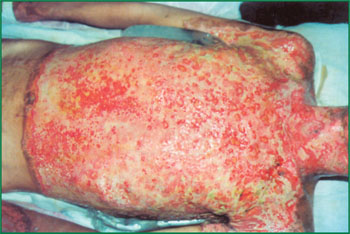 首页- 平博pinnacle888公司官网