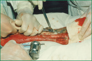 首页- 平博pinnacle888公司官网