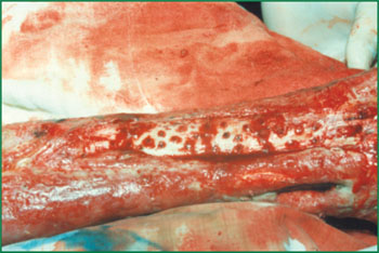 首页- 平博pinnacle888公司官网