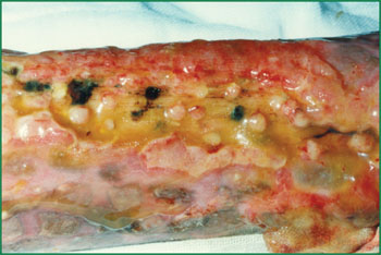 首页- 平博pinnacle888公司官网