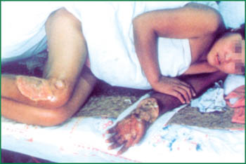 首页- 平博pinnacle888公司官网