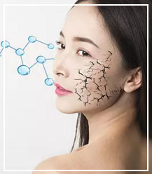 首页- 平博pinnacle888公司官网