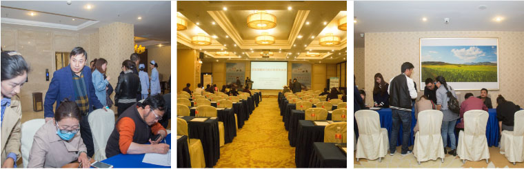 首页- 平博pinnacle888公司官网