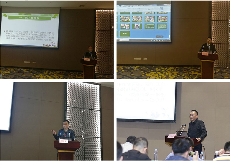 首页- 平博pinnacle888公司官网