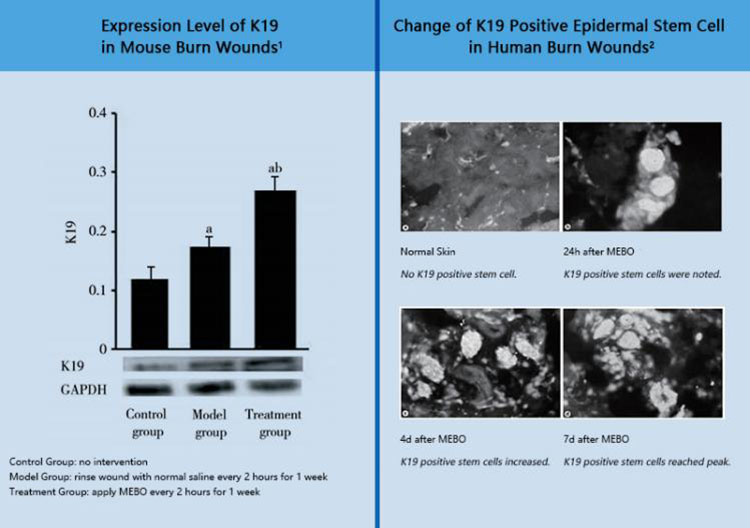 首页- 平博pinnacle888公司官网
