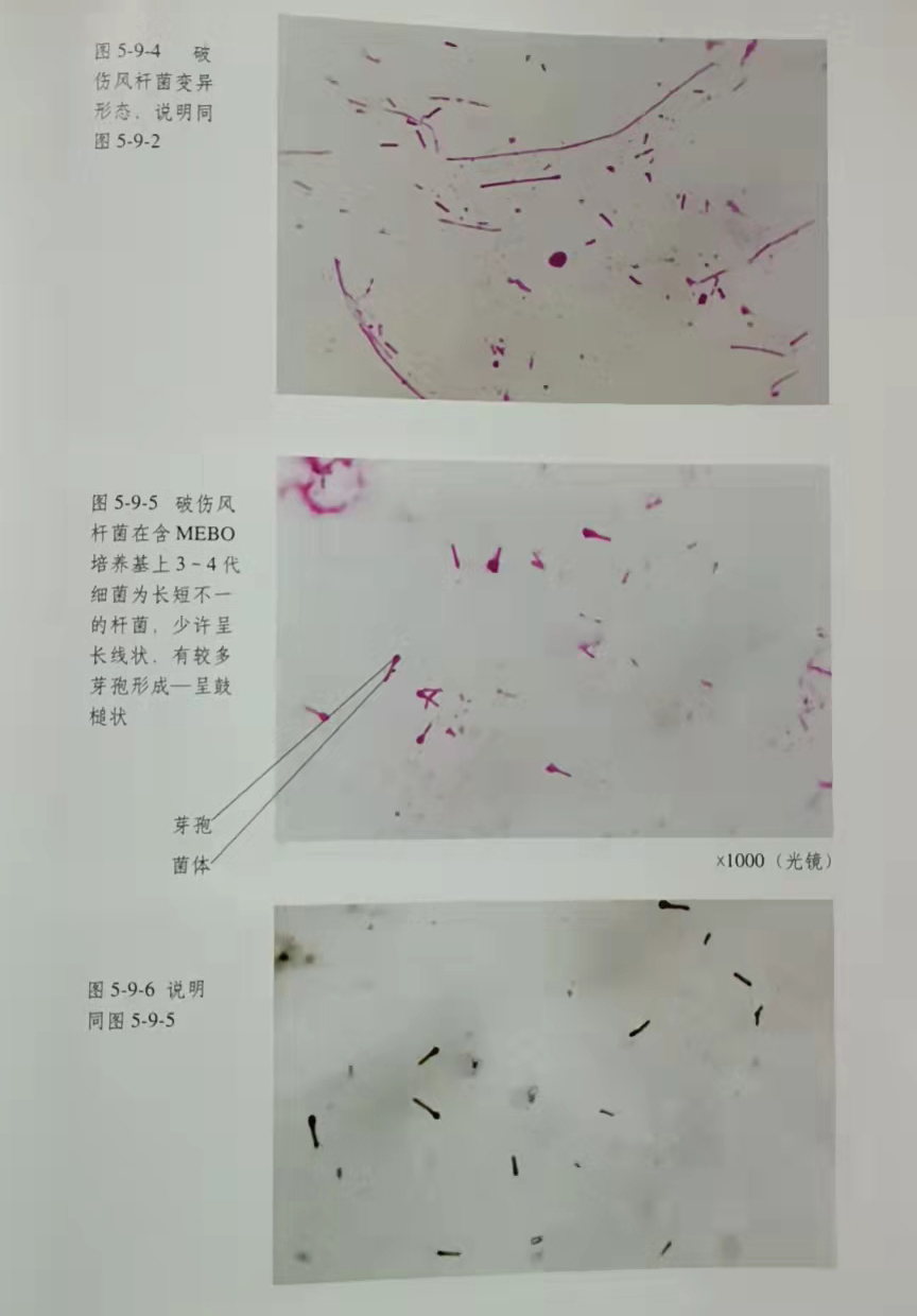 首页- 平博pinnacle888公司官网