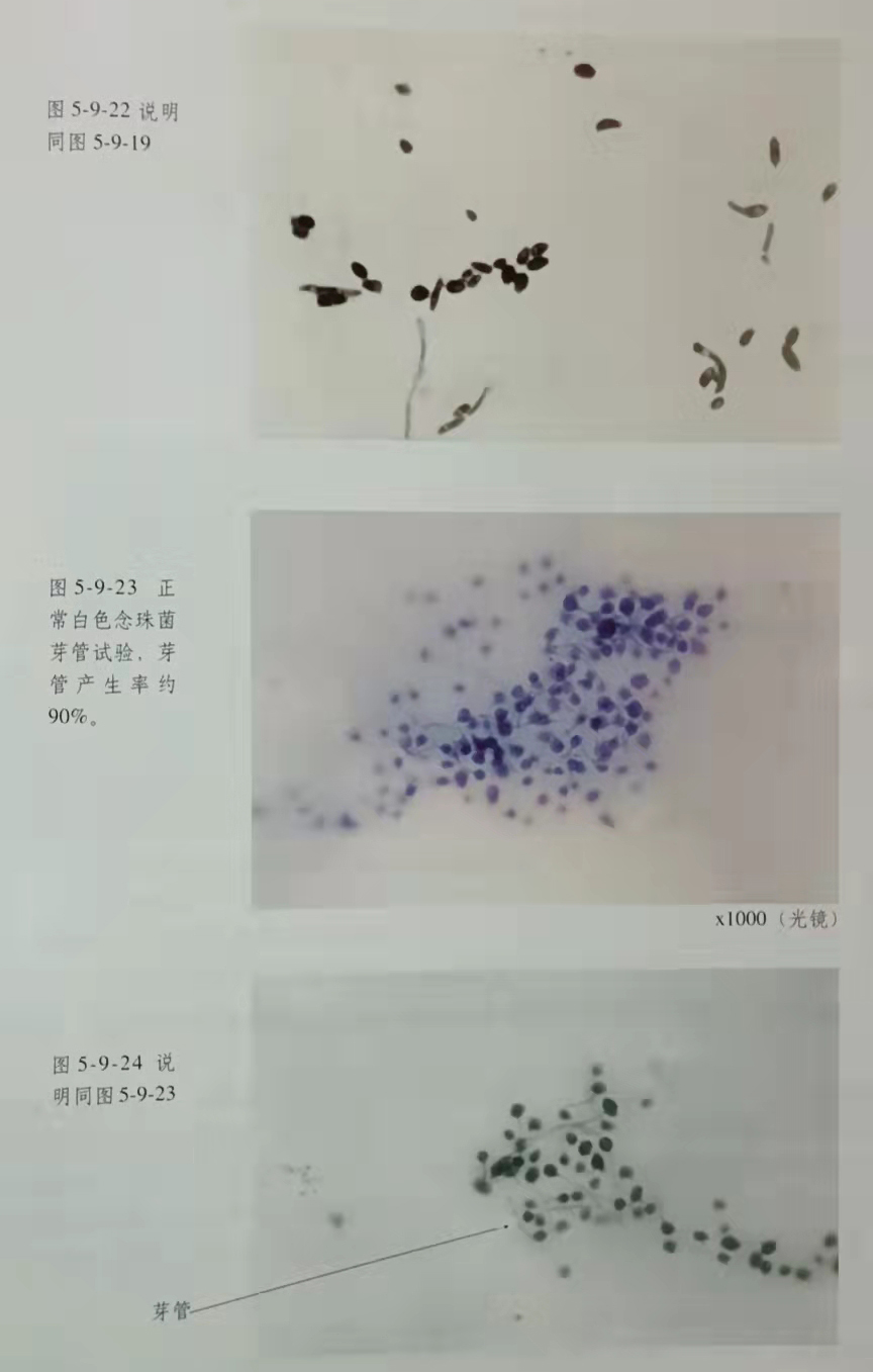 首页- 平博pinnacle888公司官网