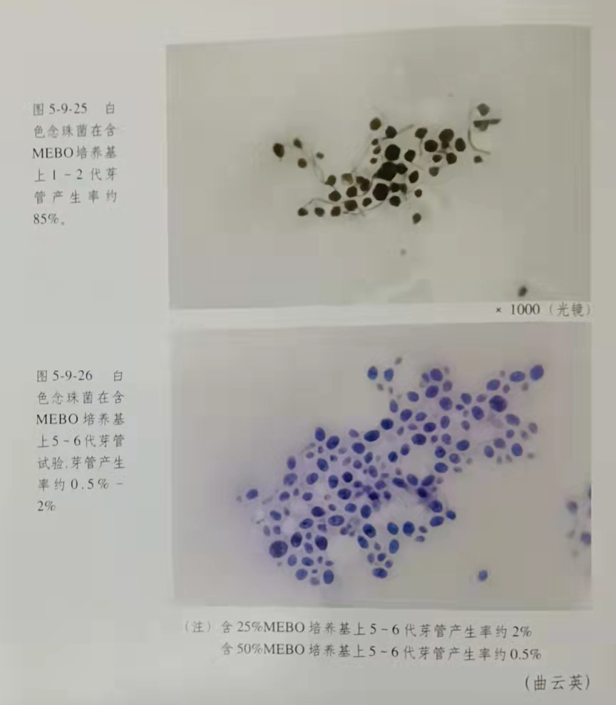 首页- 平博pinnacle888公司官网