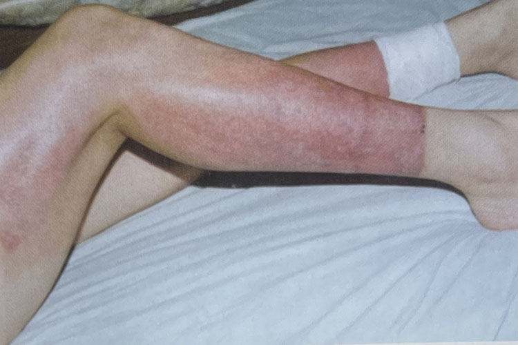 首页- 平博pinnacle888公司官网