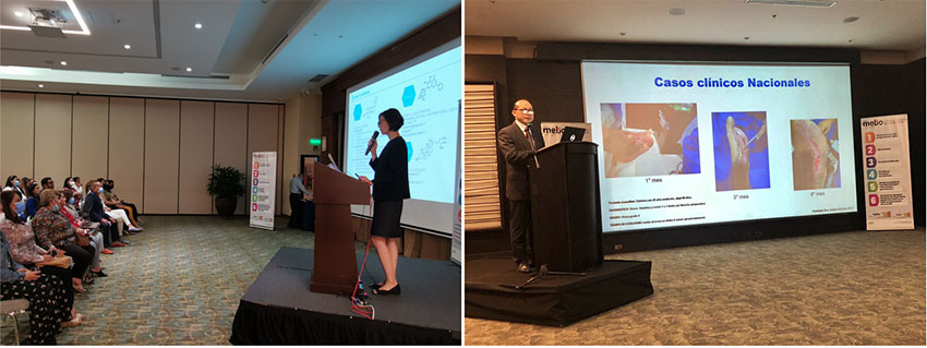 首页- 平博pinnacle888公司官网