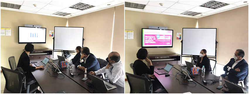 首页- 平博pinnacle888公司官网