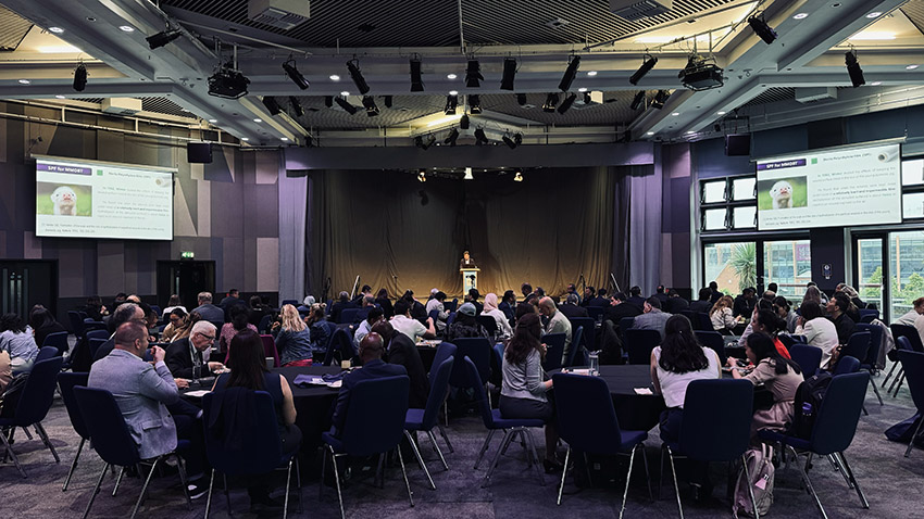 首页- 平博pinnacle888公司官网