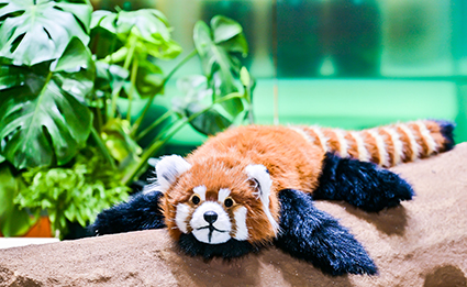 首页- 平博pinnacle888公司官网