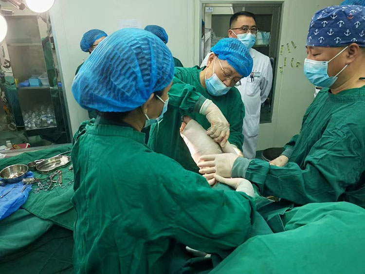 首页- 平博pinnacle888公司官网