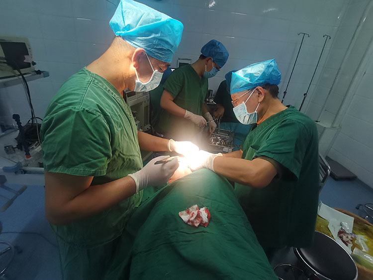 首页- 平博pinnacle888公司官网