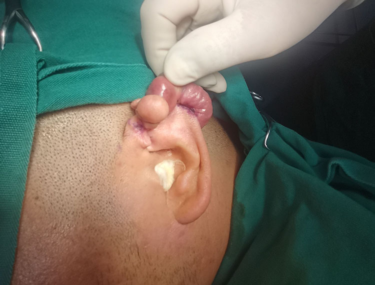 首页- 平博pinnacle888公司官网