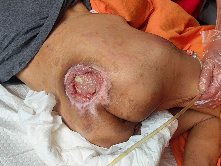 首页- 平博pinnacle888公司官网